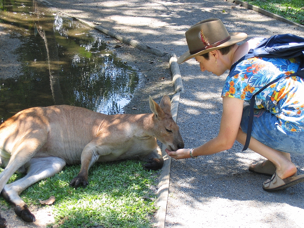 CairnsTC287 Wildlife Habitat.jpg